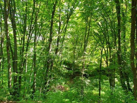 ділянка за адресою Краматорський пров.