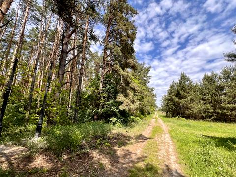 ділянка за адресою с. Блиставиця, 