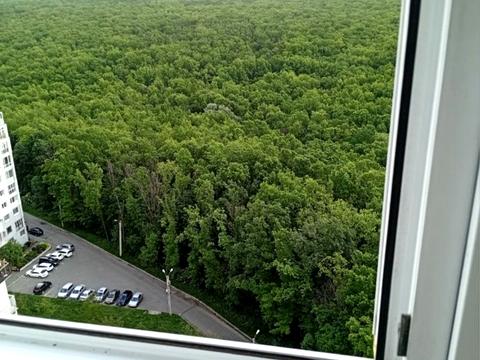 квартира за адресою Перемоги просп., 66з