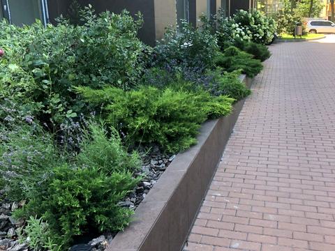 квартира по адресу Анатолия Петрицкого ул., 15