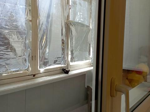 квартира за адресою Корабельна вул., 8