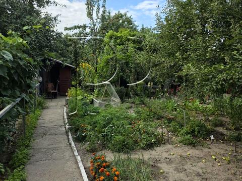 будинок за адресою Лисенка вул.