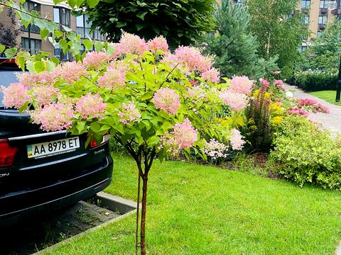 квартира за адресою Мартинова просп., 24