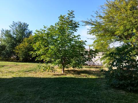 дом по адресу Кондратюка