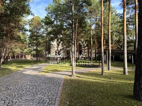 будинок за адресою соснова