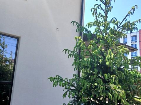 будинок за адресою Тищенка вул., 39