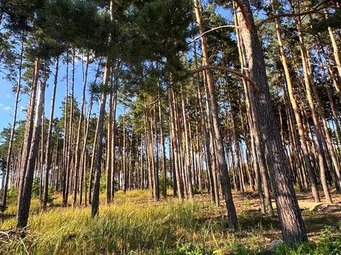 будинок за адресою Незалежності