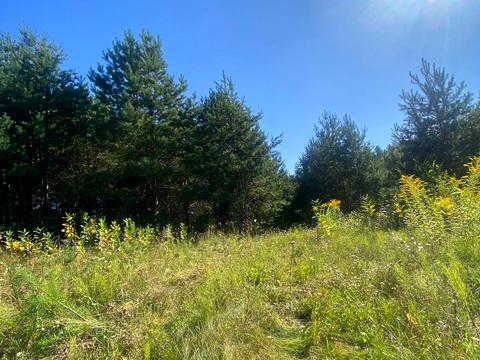 ділянка за адресою петрушківська