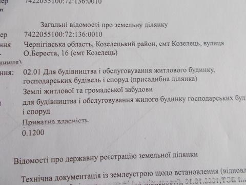участок по адресу пгт. Козелец, О.Береста, 16