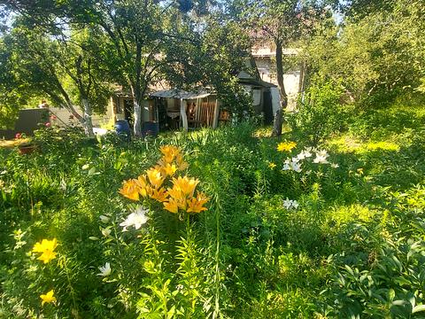 ділянка за адресою 