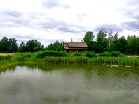 ділянка за адресою с. Нові Соколи, Романівка