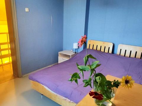 будинок за адресою Друга