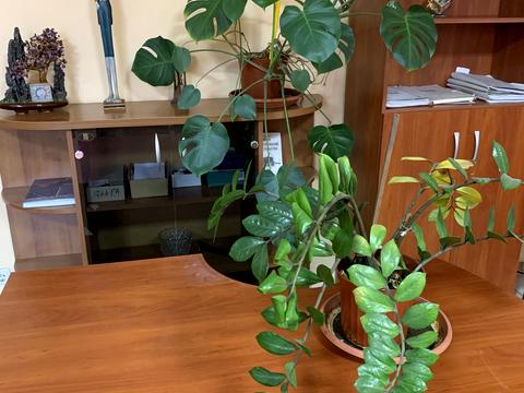 комерційна за адресою Михайлівська пл., 1