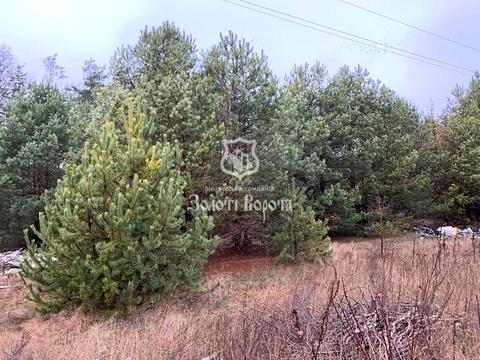 ділянка за адресою Ірпінська вул., 2