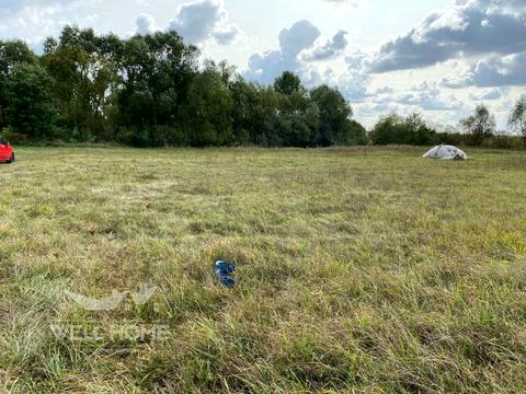 ділянка за адресою с. Тарасівка, Польова