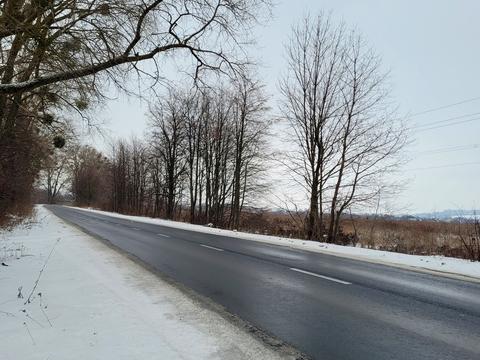 ділянка за адресою с. Лісові Гринівці, 