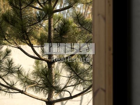 дом по адресу Садовая ул.