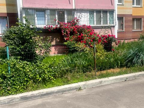 квартира за адресою Михайла Максимовича вул. (Онуфрія Трутенка), 7-А