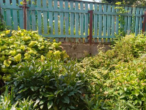 будинок за адресою Самбірський пров.