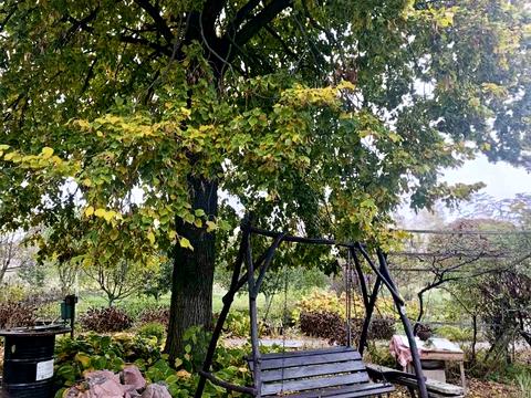 дом по адресу Федора Петрова