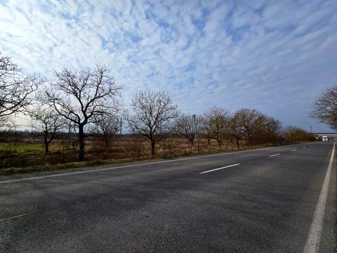 ділянка за адресою Головна