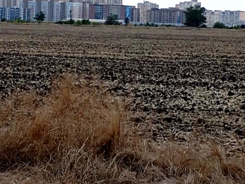 участок по адресу Академика Сахарова ул.