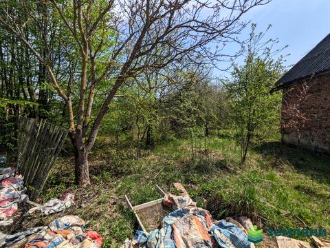 ділянка за адресою лісова казка