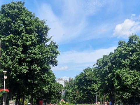 квартира по адресу Воскресенская ул., 2-В