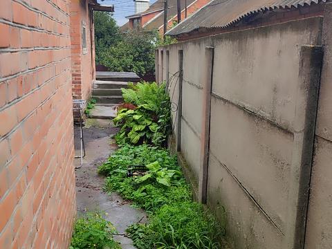дом по адресу Яна Засідателя, 5
