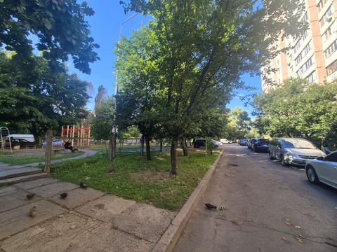 квартира за адресою Леся Курбаса просп., 1к1