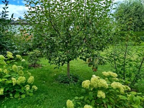 дом по адресу с. Мархалевка, Лесі Українки, 56