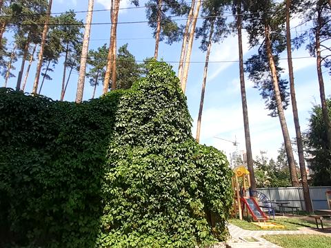 квартира за адресою Літературна вул. (Чехова), 14-В