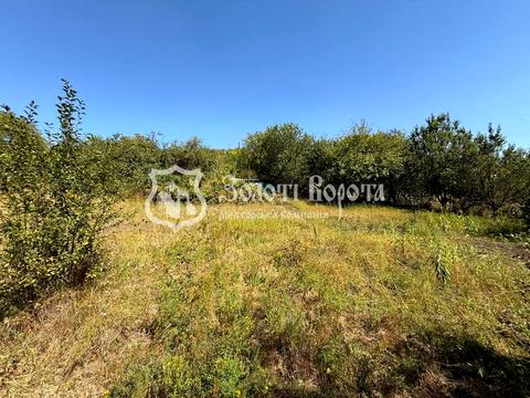 ділянка за адресою с. Старі Безрадичі, СТ Рябина, 35