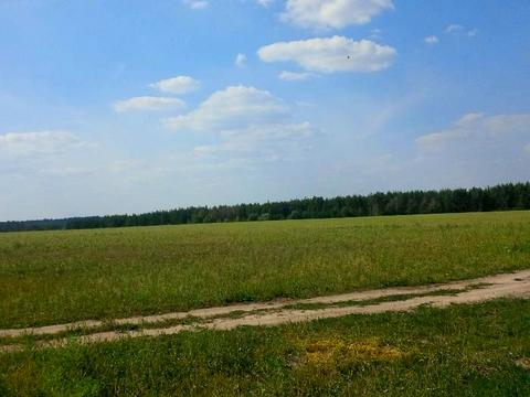 участок по адресу лісова