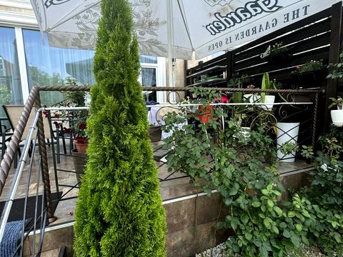 дом по адресу Паркова
