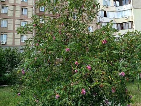 квартира за адресою Оноре де Бальзака вул., 61
