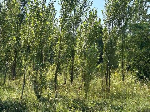 участок по адресу с. Стуфчинцы, Платонівська