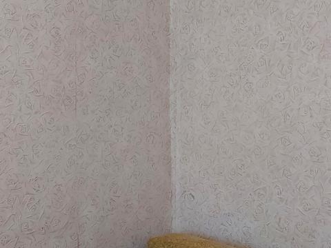квартира по адресу Библика ул. (2-й Пятилетки), 11