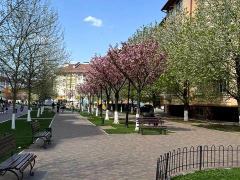 квартира по адресу Тернопольская ул., 10