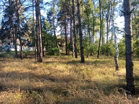 ділянка за адресою с. Пилява, Набережна, 1