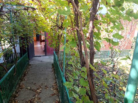 дом по адресу Івана Піддубного ул. (Одухи), 12