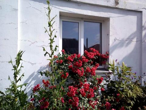 будинок за адресою Білицька вул.