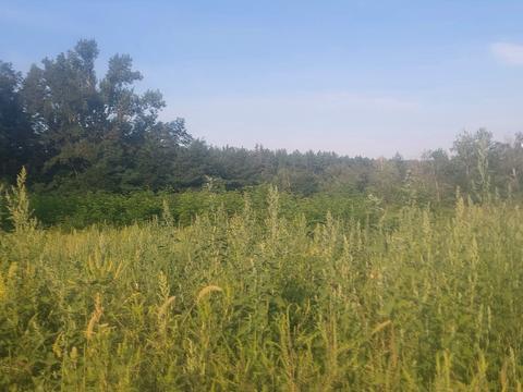 участок по адресу Подгорная ул., 28