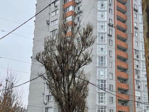 квартира по адресу Тополиная ул., 7