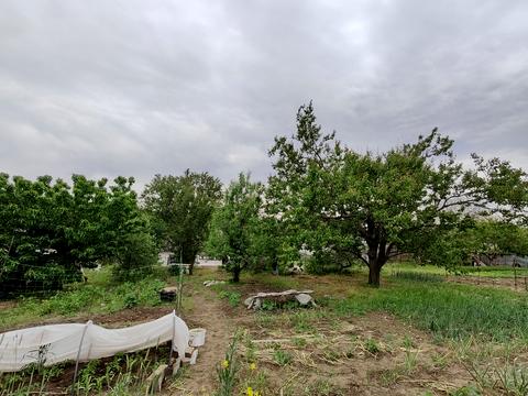 дом по адресу Болятка, 2а