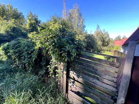 ділянка за адресою проспект Свободи