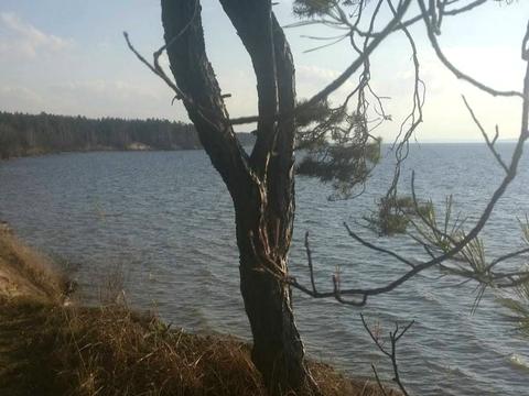 ділянка за адресою Городищанська