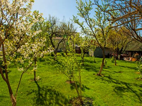 дом по адресу Садовая ул.