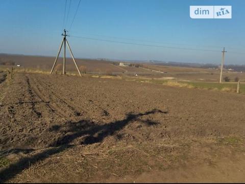 ділянка за адресою Академіка Заболотного вул.