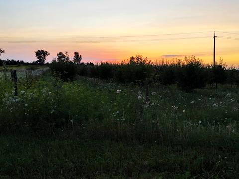 ділянка за адресою с. Холмець, 